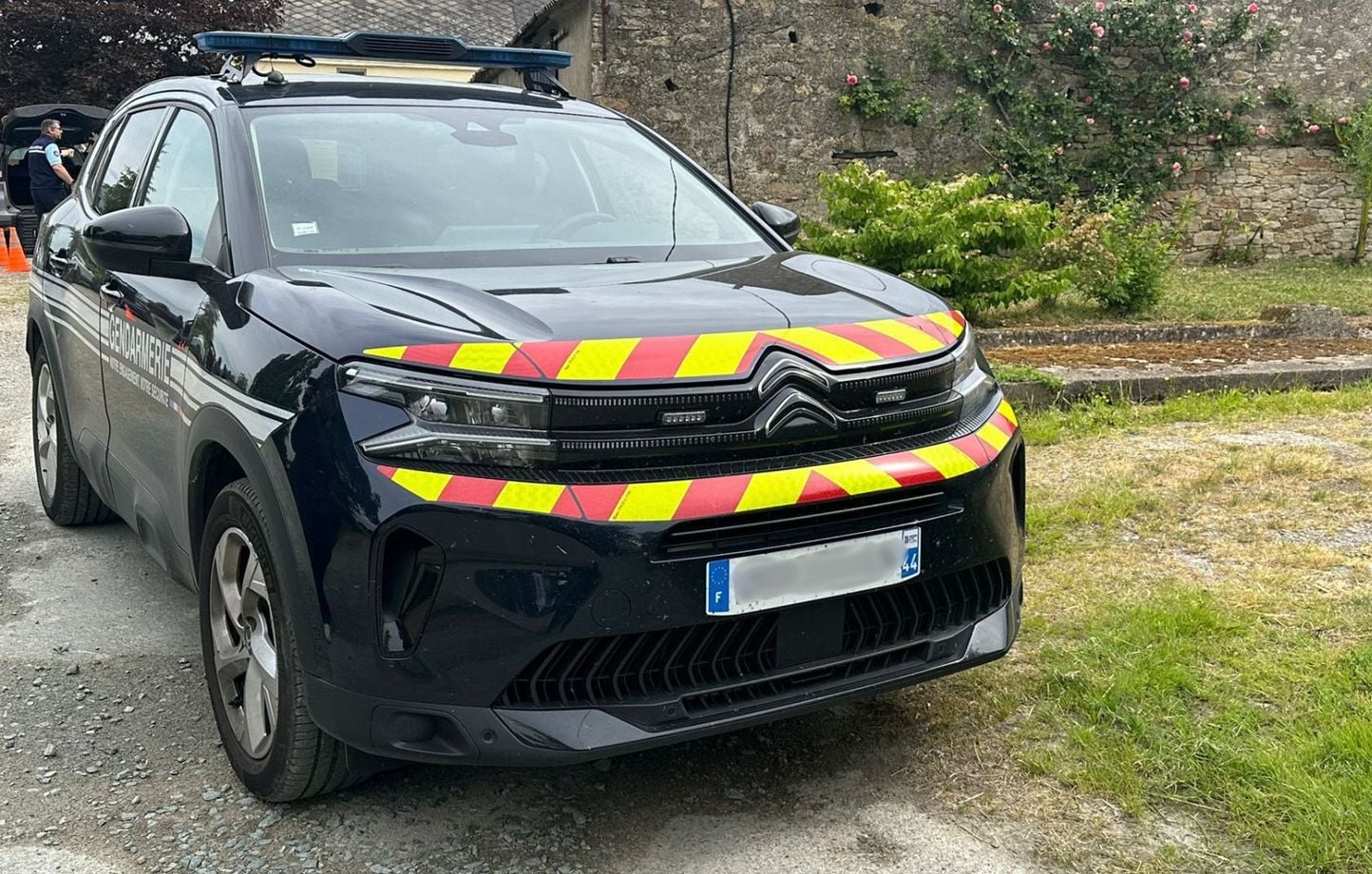 “Hay que encontrarla ya”… 300 personas este sábado para un operativo de búsqueda “Hay que encontrarla ya”… 300 personas este sábado para un operativo de búsqueda